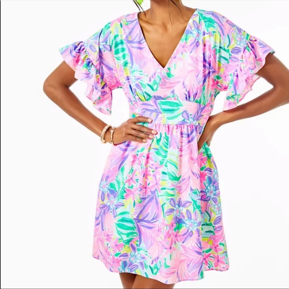 Lilly Pullitzer Blaire Ruffle Dress 00